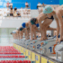 Aquanetix swimmers  70x70