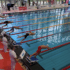 fina 70x70